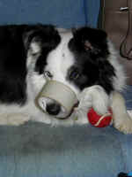 malcolm-tape-snout.jpg (60438 bytes)